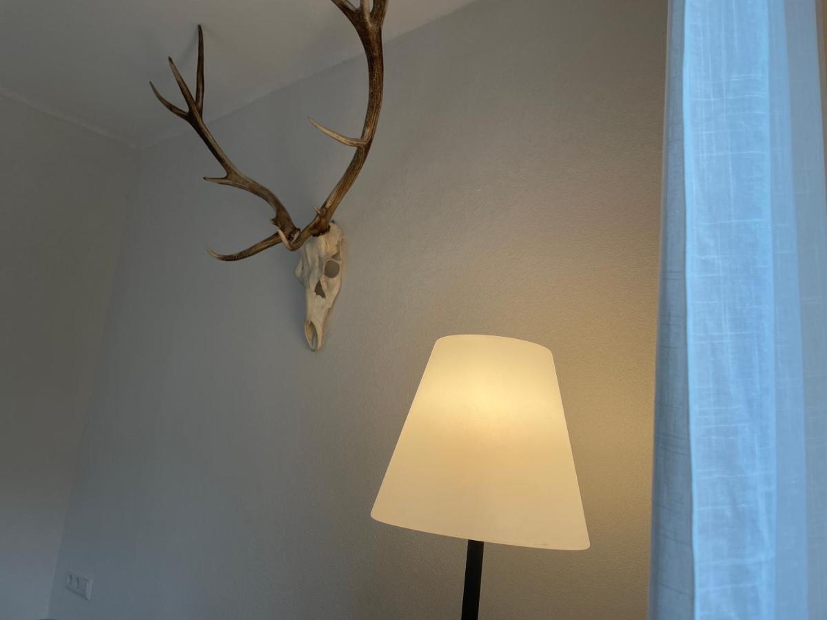 Apartmán Zwergdackeladlerhirsch Beuron Exteriér fotografie