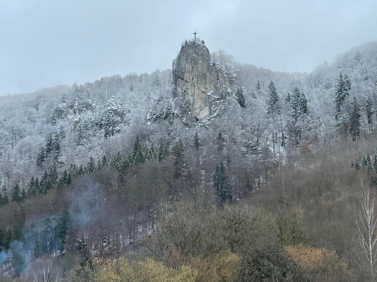 Apartmán Zwergdackeladlerhirsch Beuron Exteriér fotografie