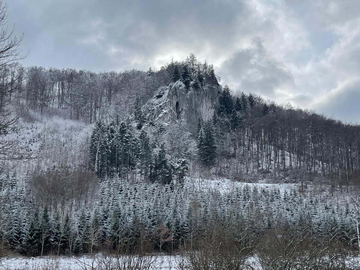 Apartmán Zwergdackeladlerhirsch Beuron Exteriér fotografie