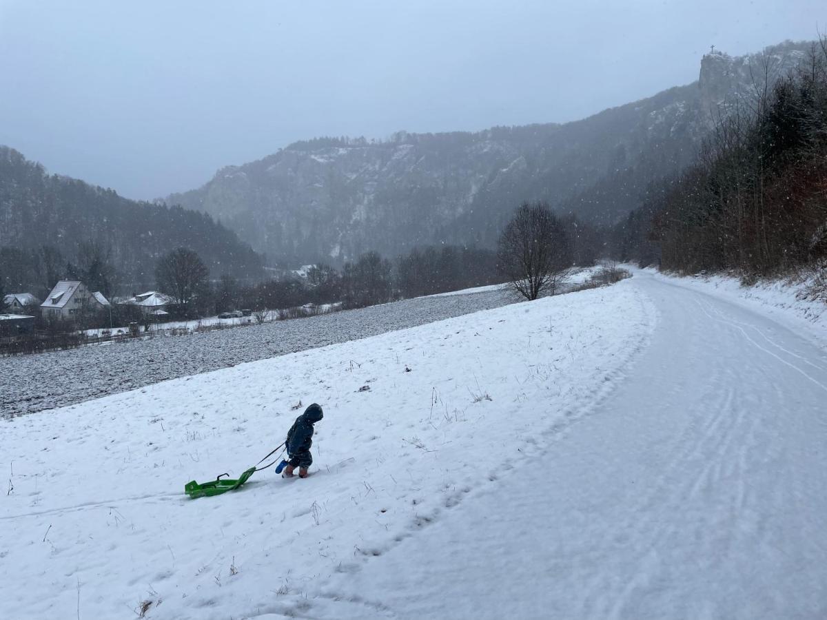 Apartmán Zwergdackeladlerhirsch Beuron Exteriér fotografie
