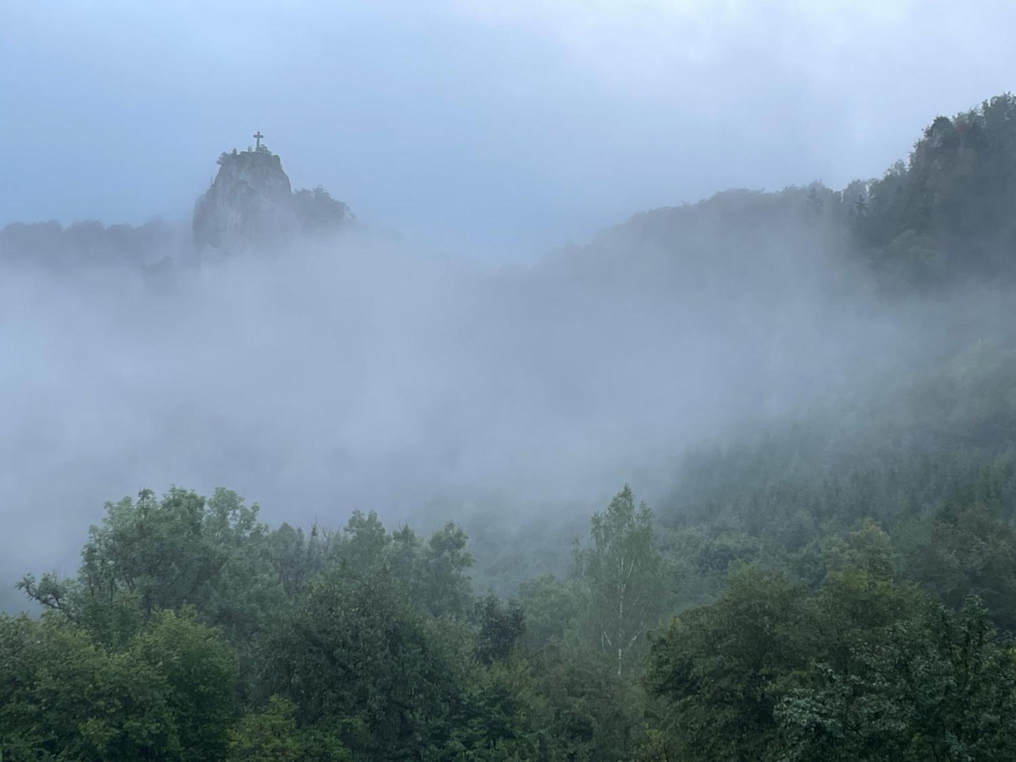Apartmán Zwergdackeladlerhirsch Beuron Exteriér fotografie