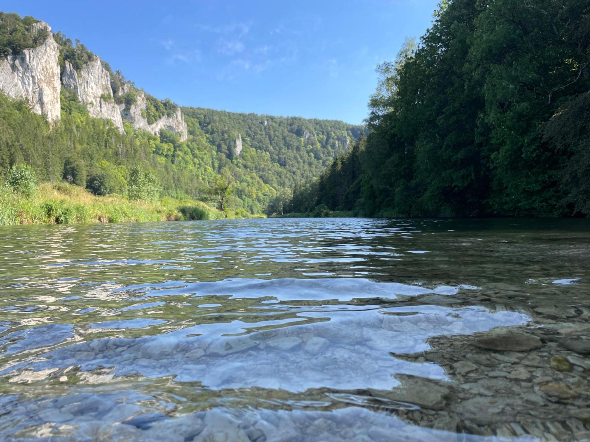 Apartmán Zwergdackeladlerhirsch Beuron Exteriér fotografie